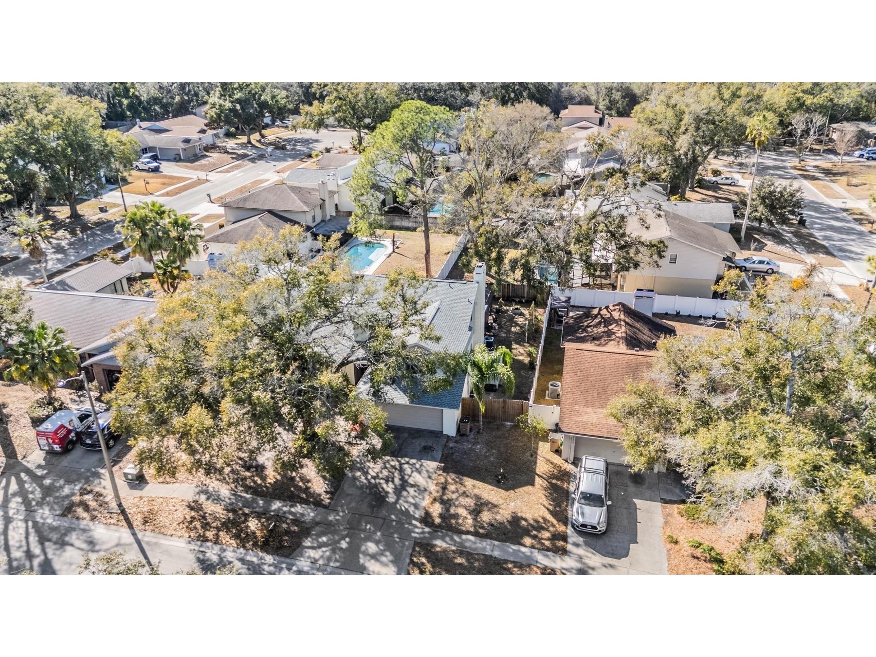 12604 Rain Forest Street Temple Terrace FL 33617 TB8472299 image5