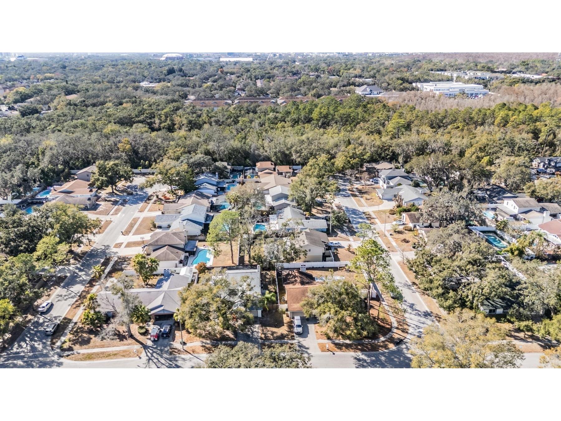 12604 Rain Forest Street Temple Terrace FL 33617 TB8472299 image6