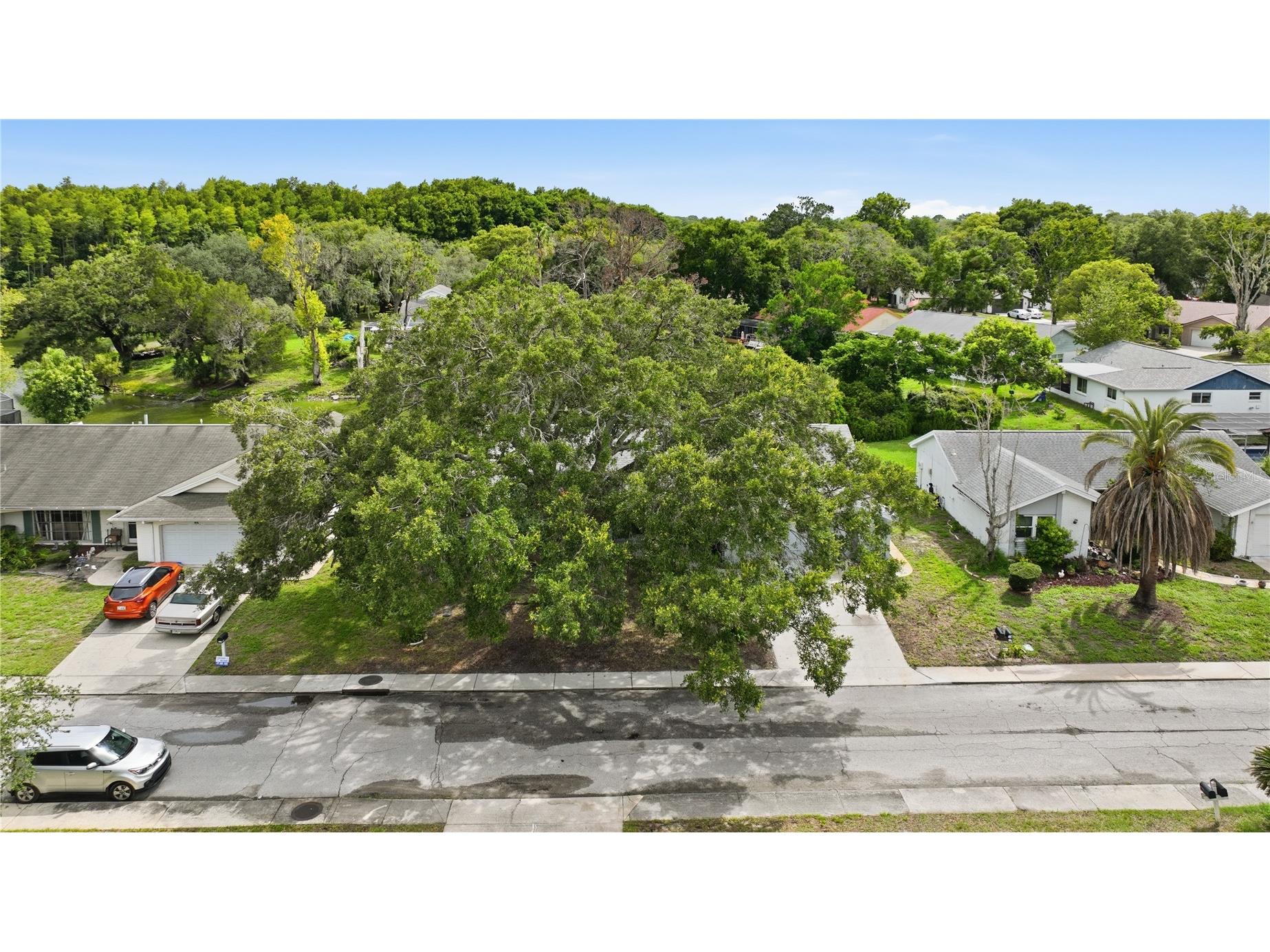 12605 River Mill Drive Hudson FL 34667 - RIVER MILL LAKE TB8532372 image57