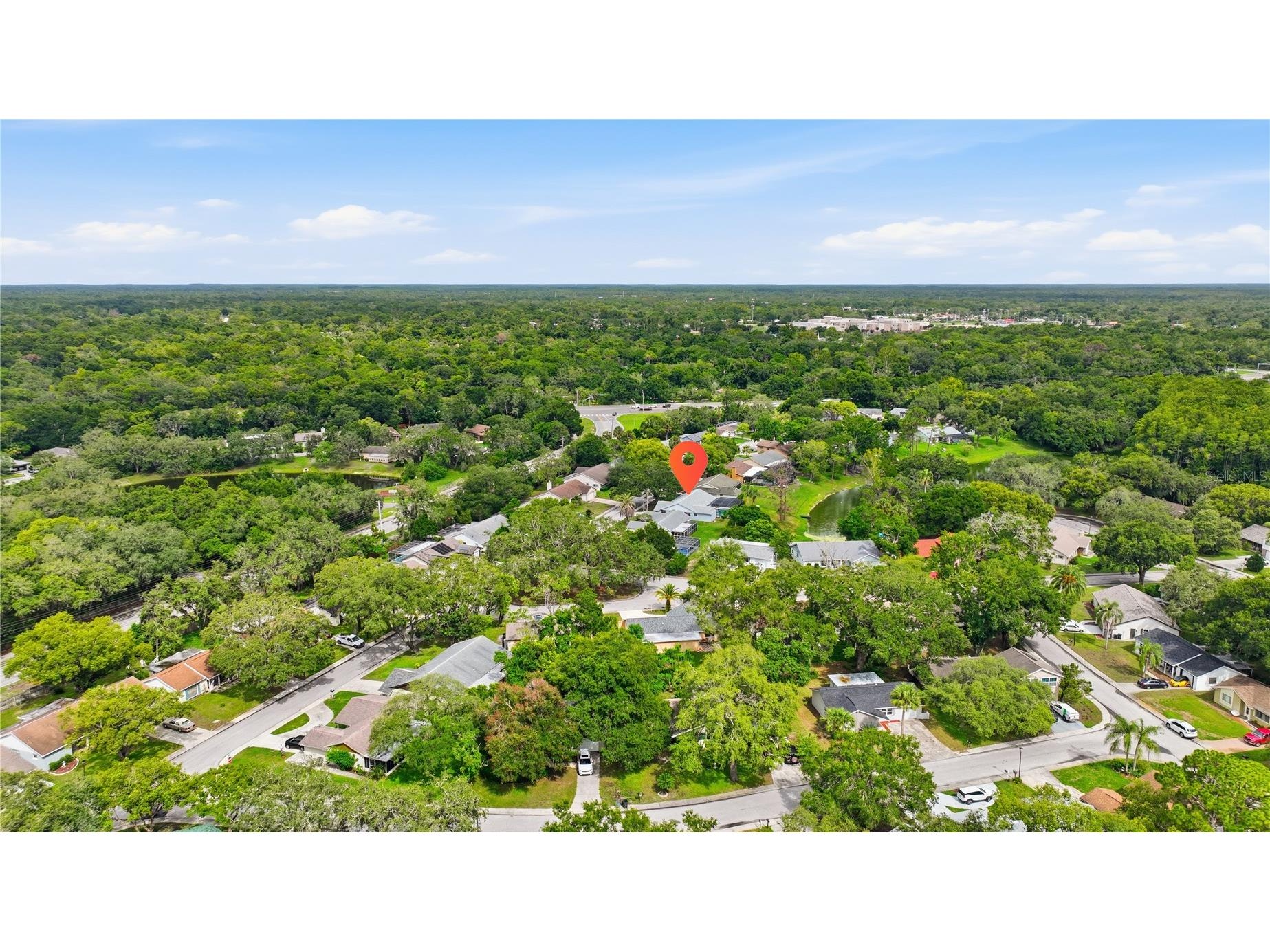 12605 River Mill Drive Hudson FL 34667 - RIVER MILL LAKE TB8532372 image64