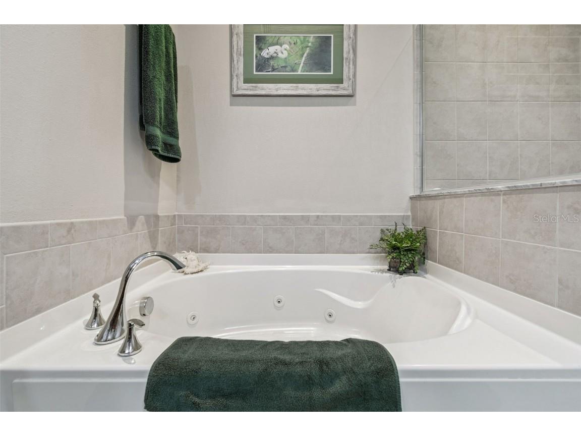 12605 San Blas Loop Largo FL 33774 TB8454930 image36