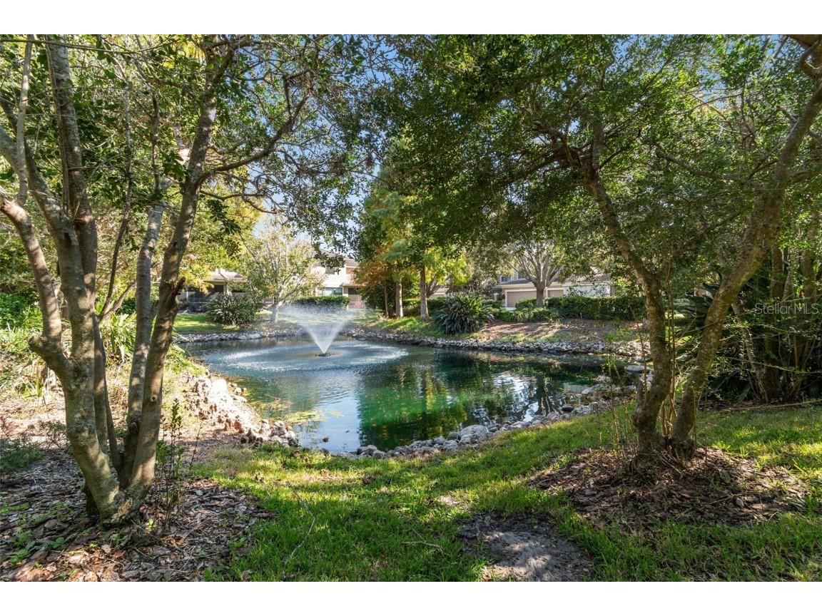 12605 San Blas Loop Largo FL 33774 TB8454930 image69