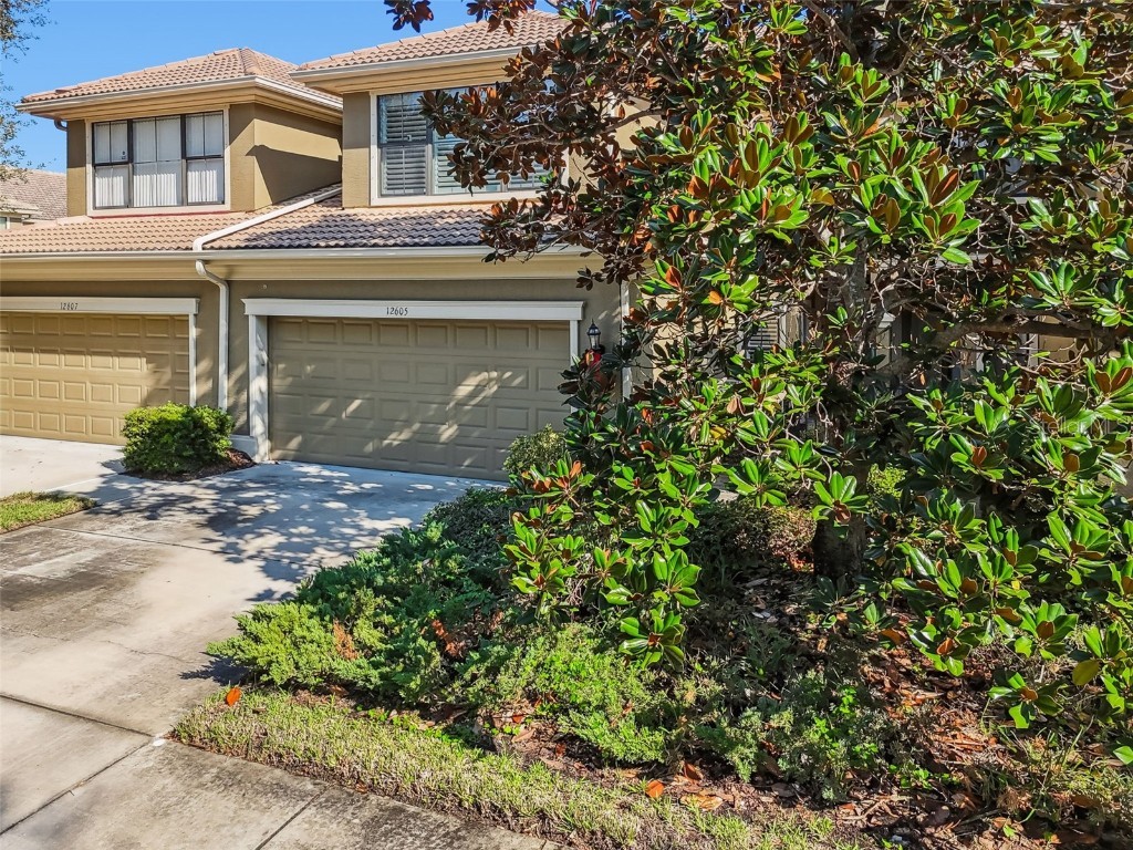 12605 San Blas Loop Largo FL 33774 TB8454930 image75