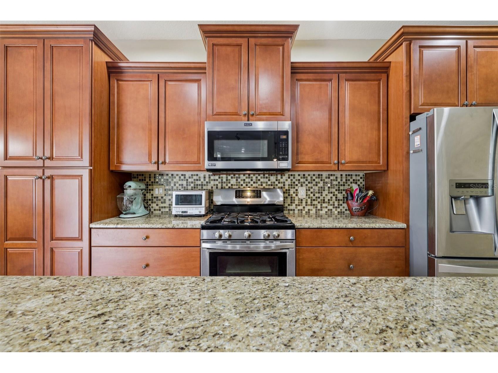 12606 River Birch Drive Riverview FL 33569 TB8466696 image13