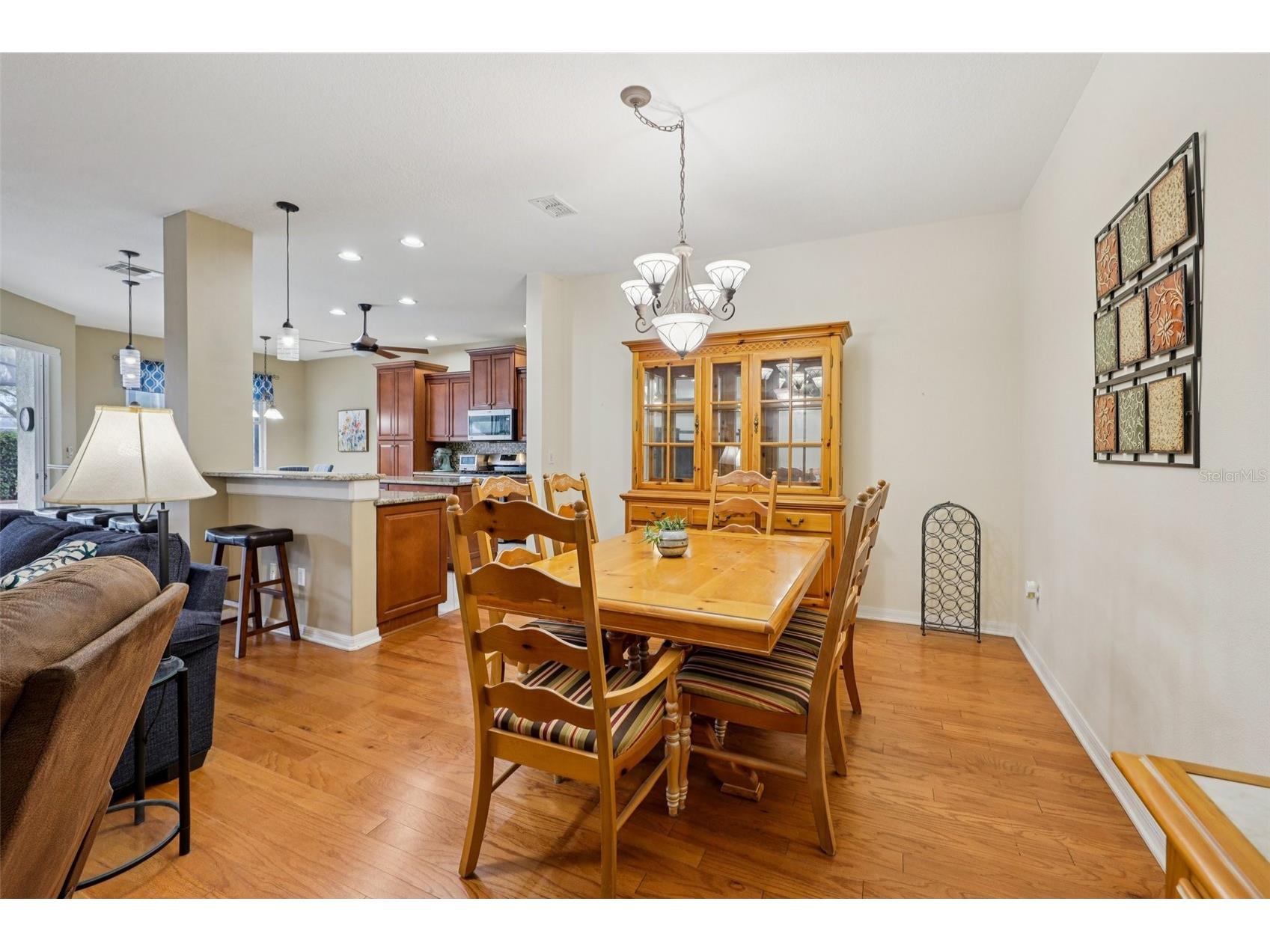 12606 River Birch Drive Riverview FL 33569 TB8466696 image18