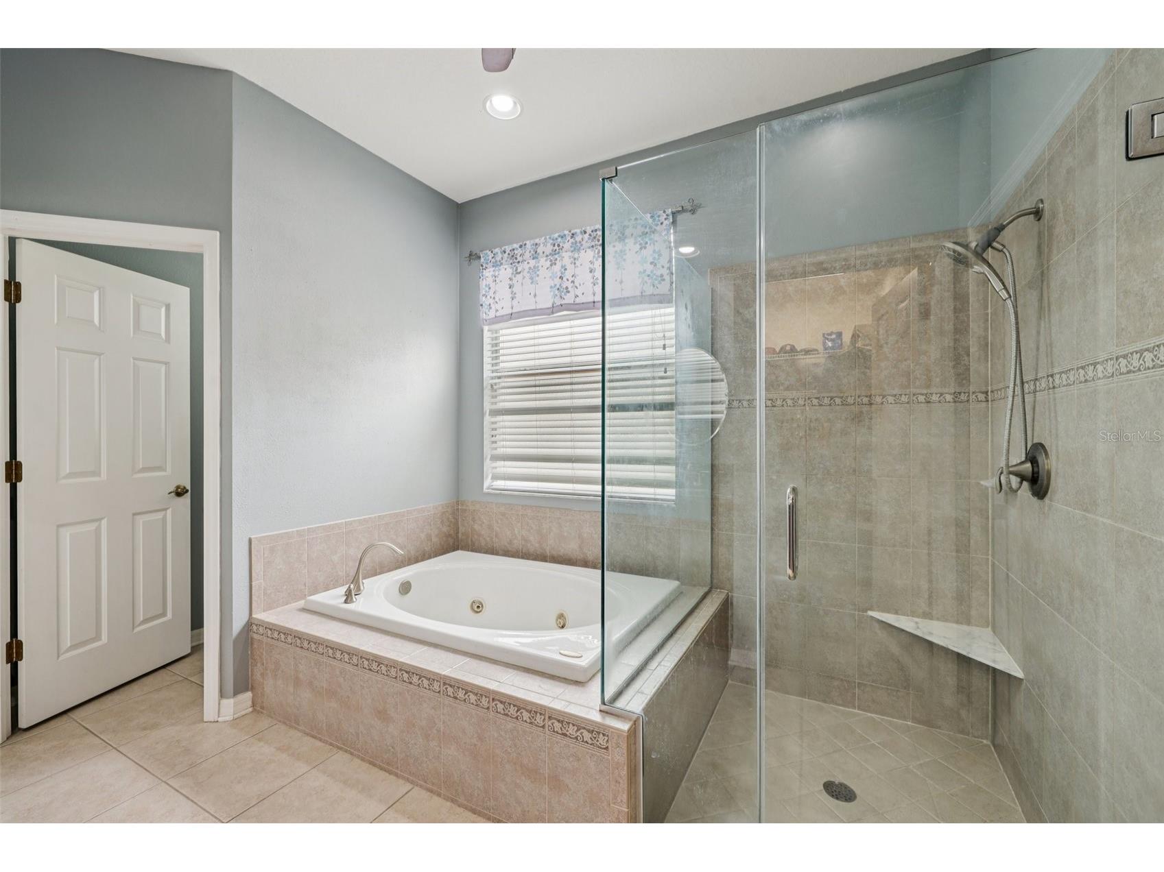 12606 River Birch Drive Riverview FL 33569 TB8466696 image24