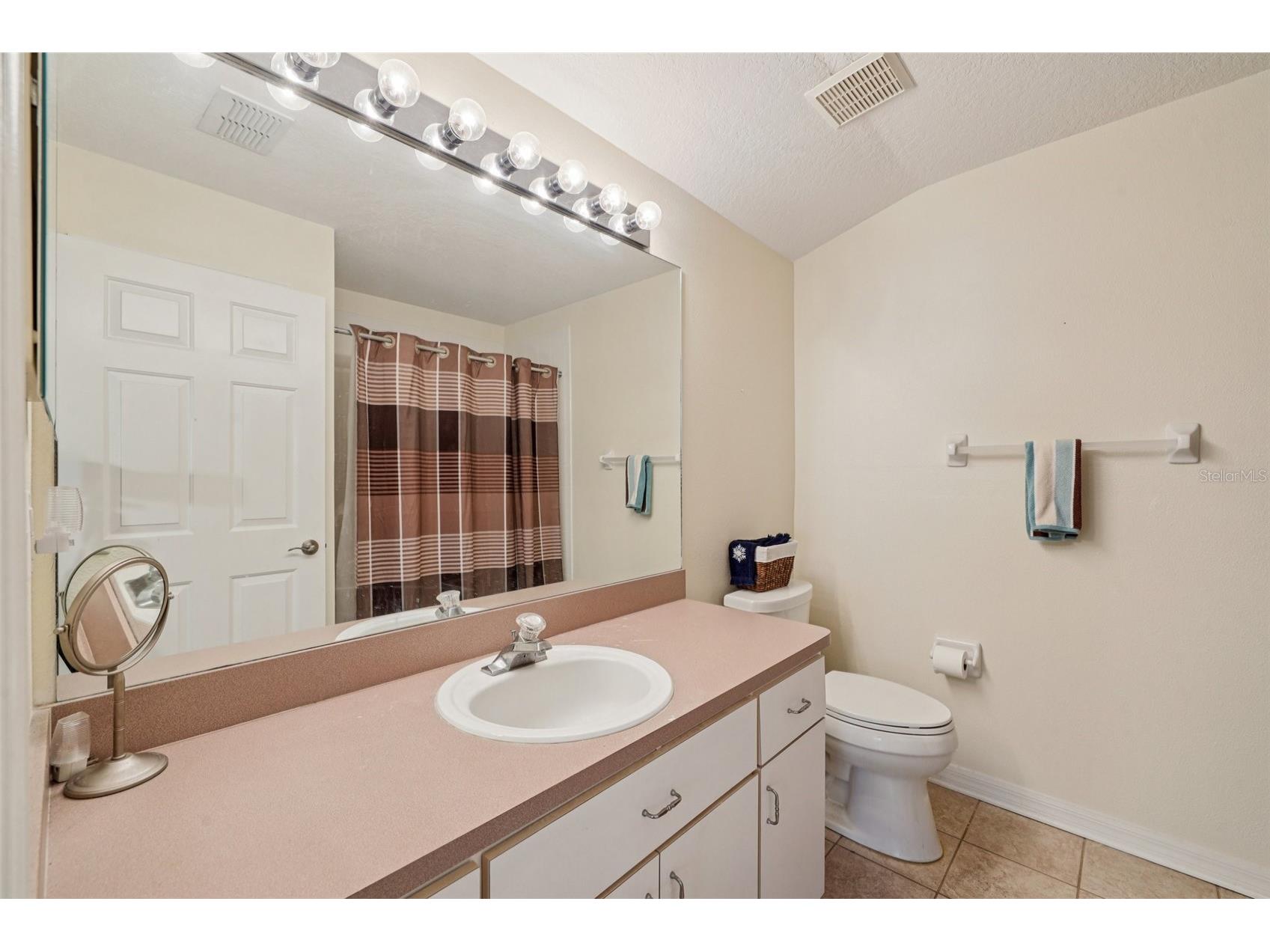 12606 River Birch Drive Riverview FL 33569 TB8466696 image42