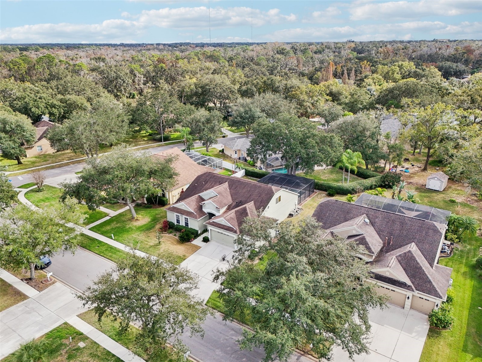 12606 River Birch Drive Riverview FL 33569 TB8466696 image53