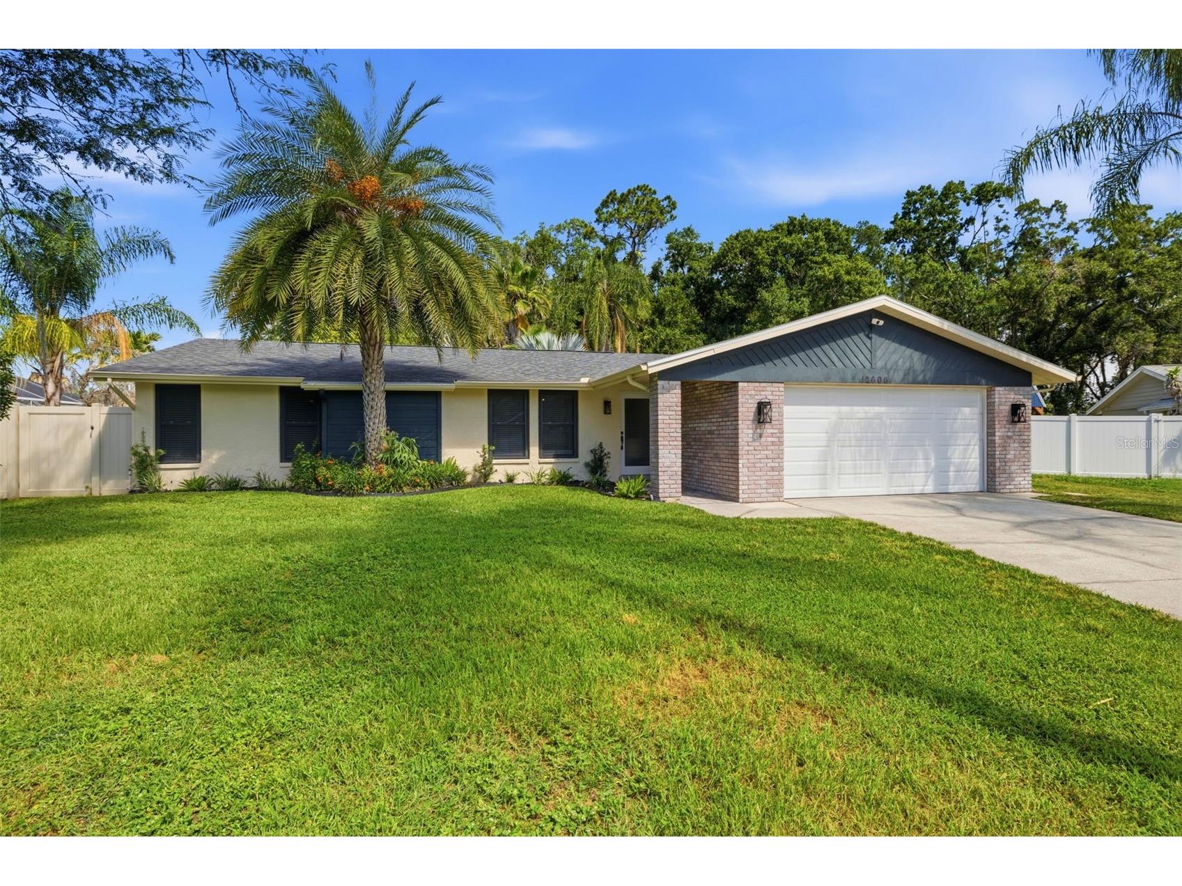 12606 Wood Ibis Way Tampa FL 33624 TB8518005 image1