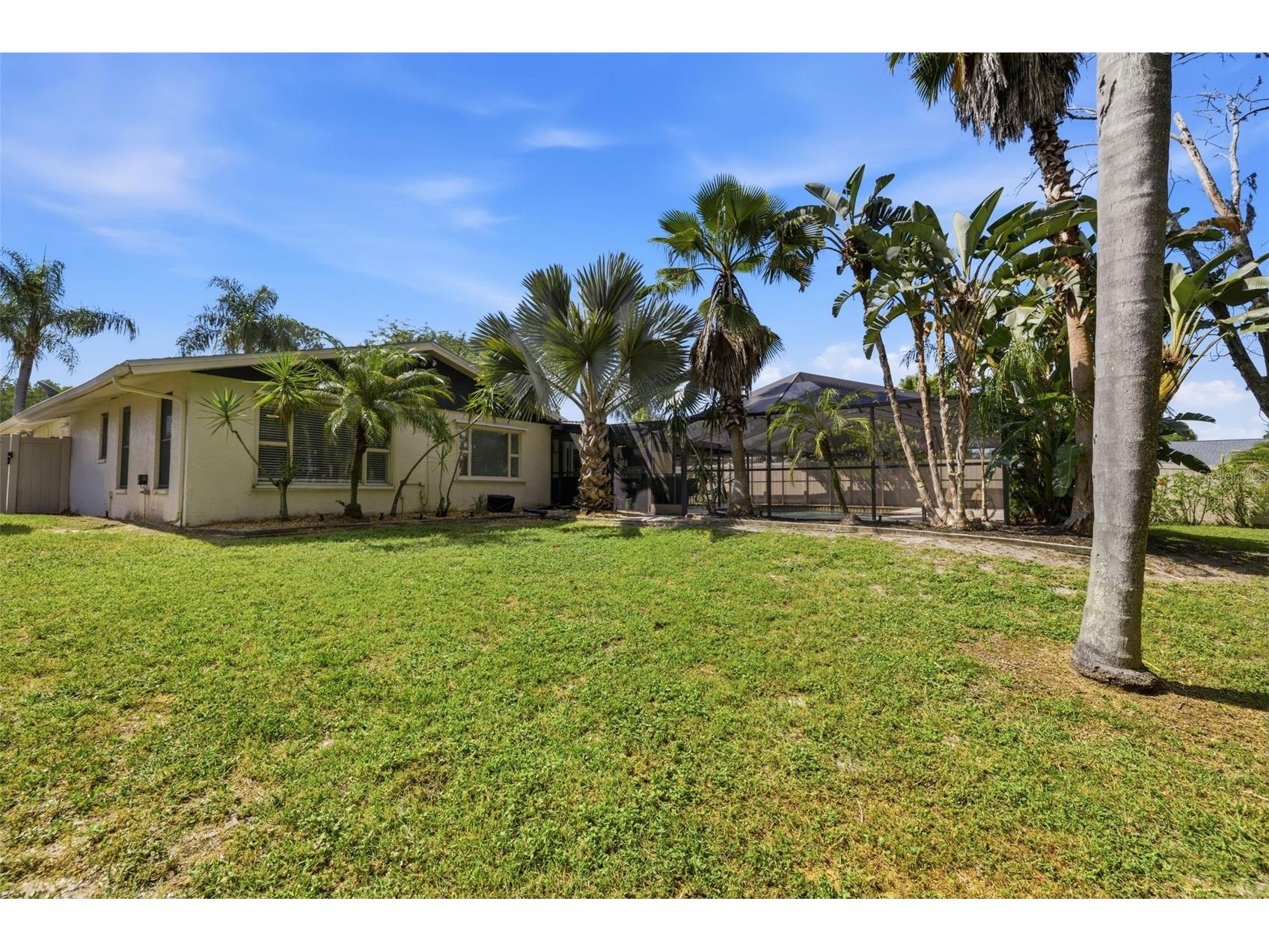 12606 Wood Ibis Way Tampa FL 33624 TB8518005 image25