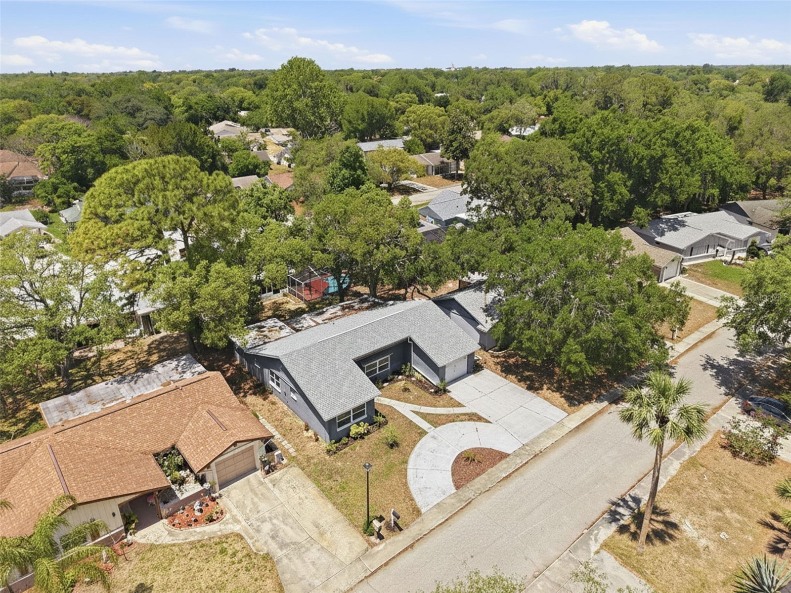 12607 Blackberry Row Hudson FL 34667 TB8504358 image57