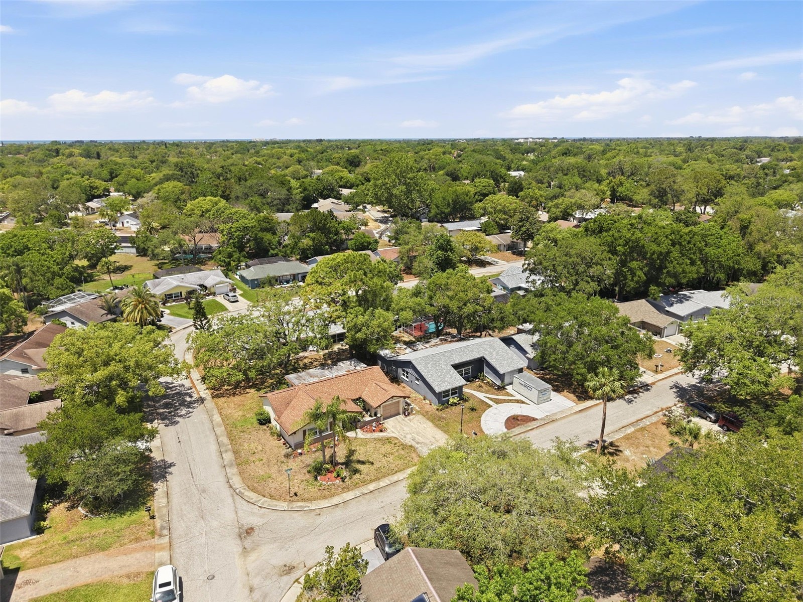 12607 Blackberry Row Hudson FL 34667 TB8504358 image58