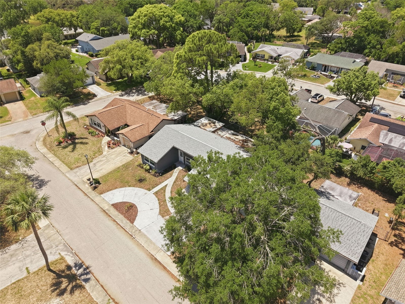 12607 Blackberry Row Hudson FL 34667 TB8504358 image59