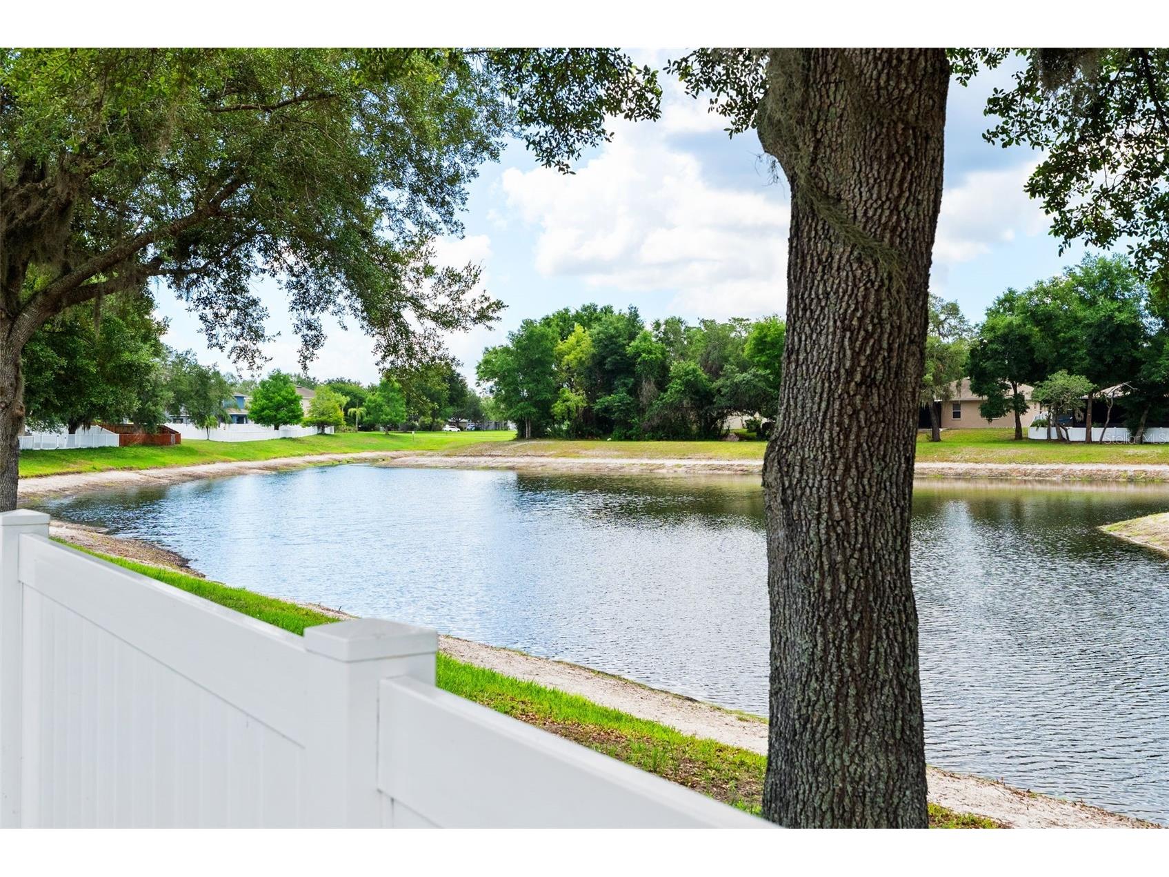 12607 Chenwood Avenue Hudson FL 34669 TB8505635 image30
