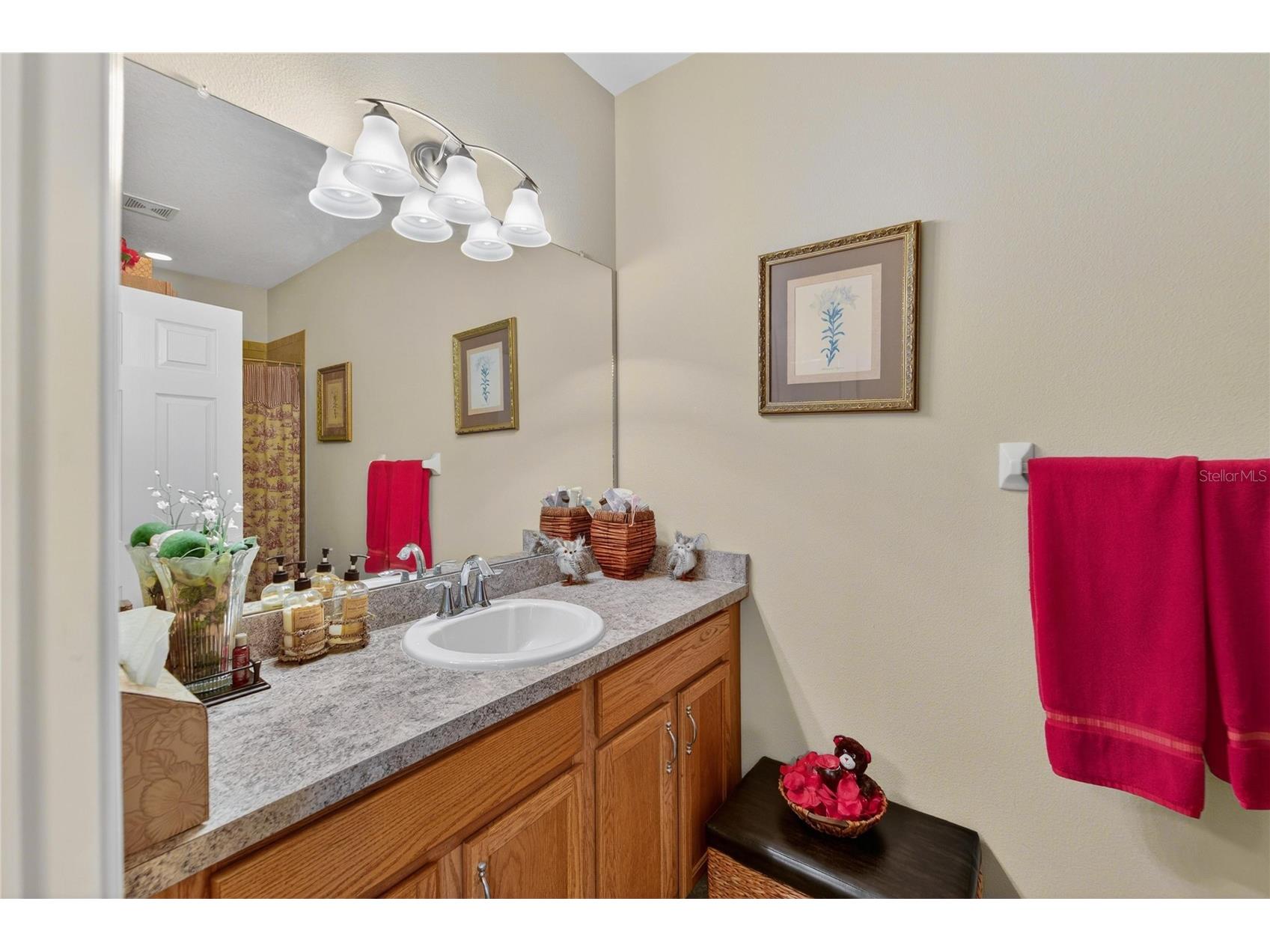 12607 Geneva Glade Drive Riverview FL 33578 TB8508508 image26