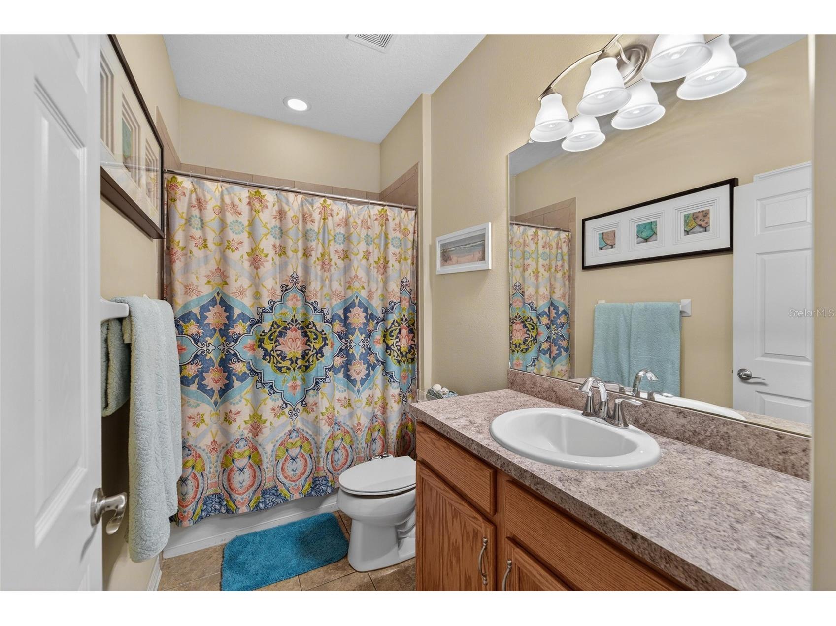 12607 Geneva Glade Drive Riverview FL 33578 TB8508508 image28