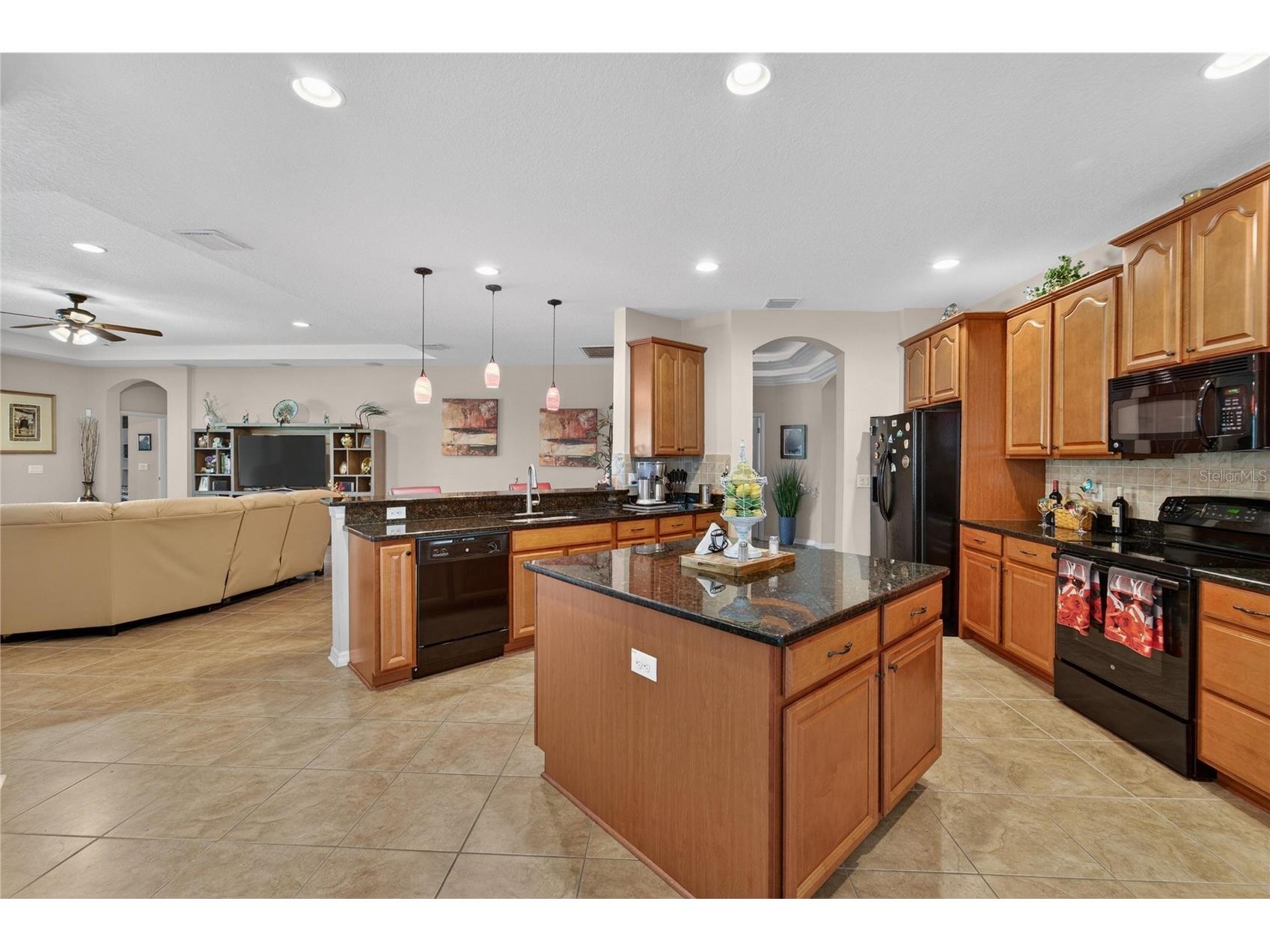 12607 Geneva Glade Drive Riverview FL 33578 TB8508508 image6