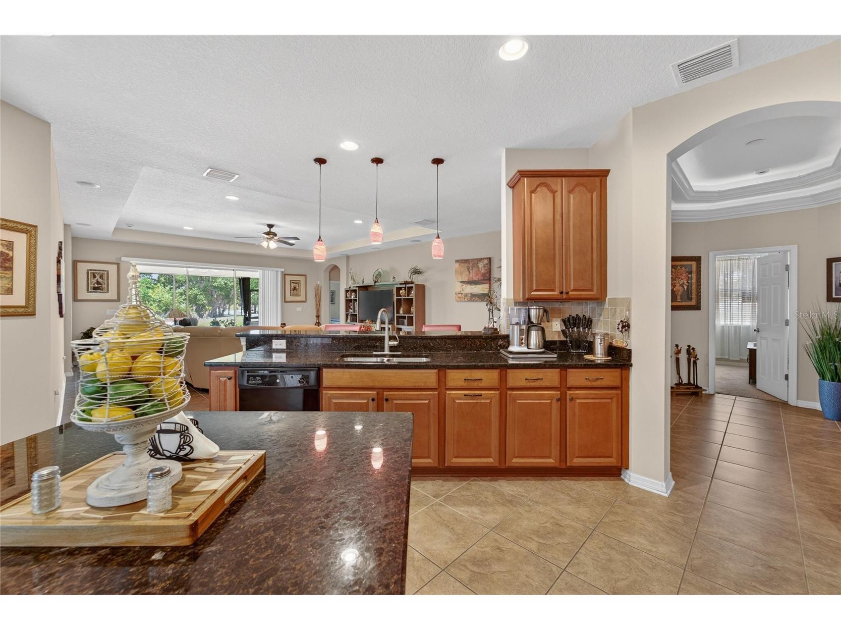 12607 Geneva Glade Drive Riverview FL 33578 TB8508508 image7
