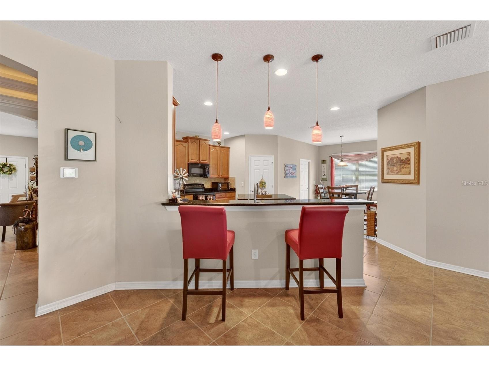 12607 Geneva Glade Drive Riverview FL 33578 TB8508508 image9