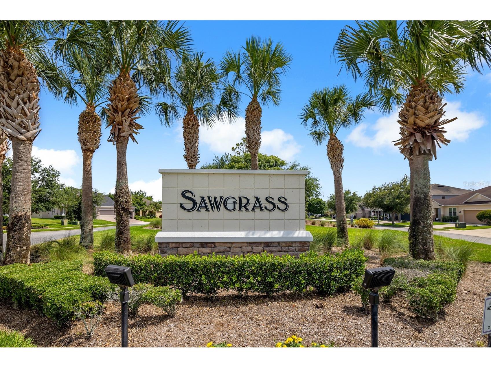 12608 Iris Lake Drive Orlando FL 32824 O6408112 image24