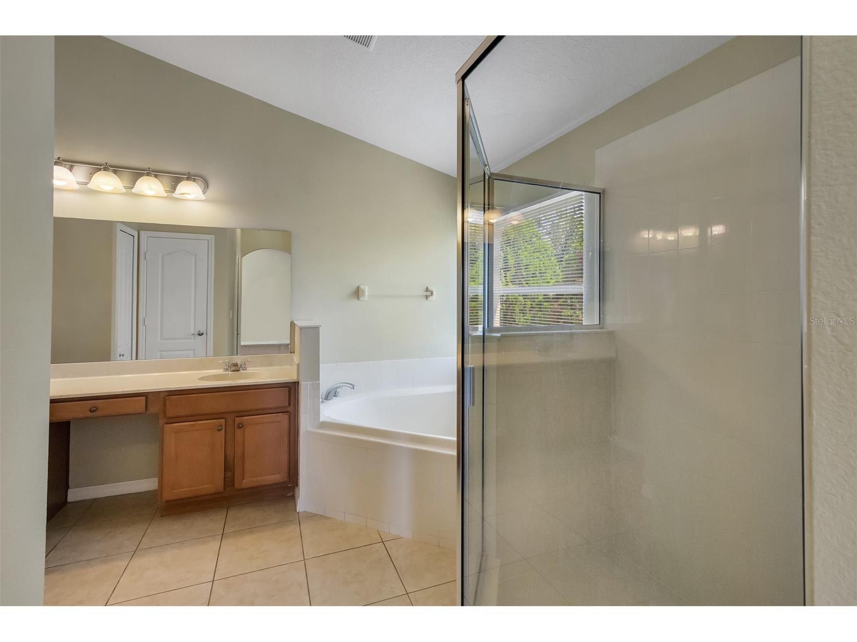 12608 Iris Lake Drive Orlando FL 32824 O6408112 image32