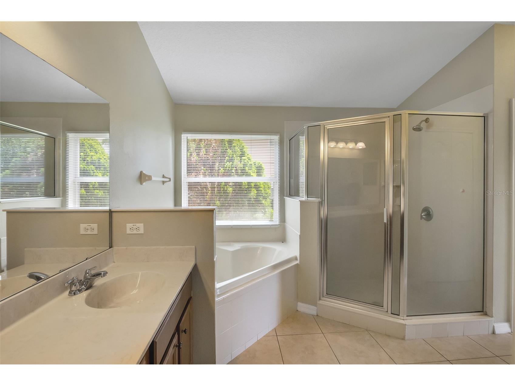 12608 Iris Lake Drive Orlando FL 32824 O6408112 image33