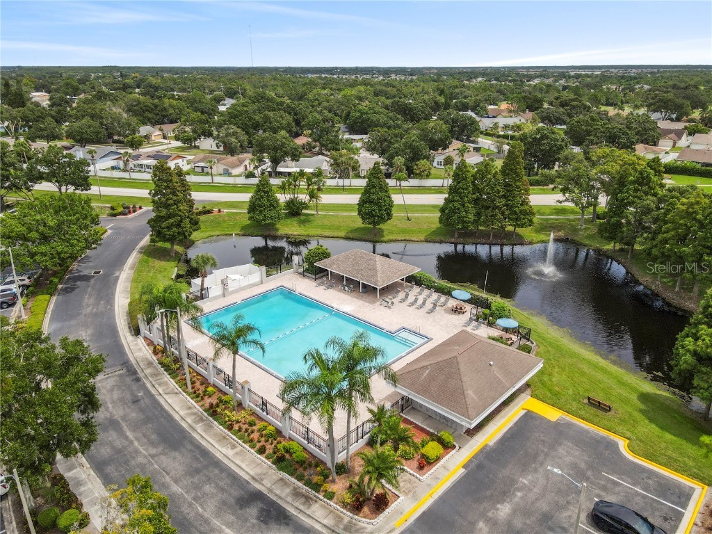 12608 Longcrest Drive Riverview FL 33579 TB8425654 image60