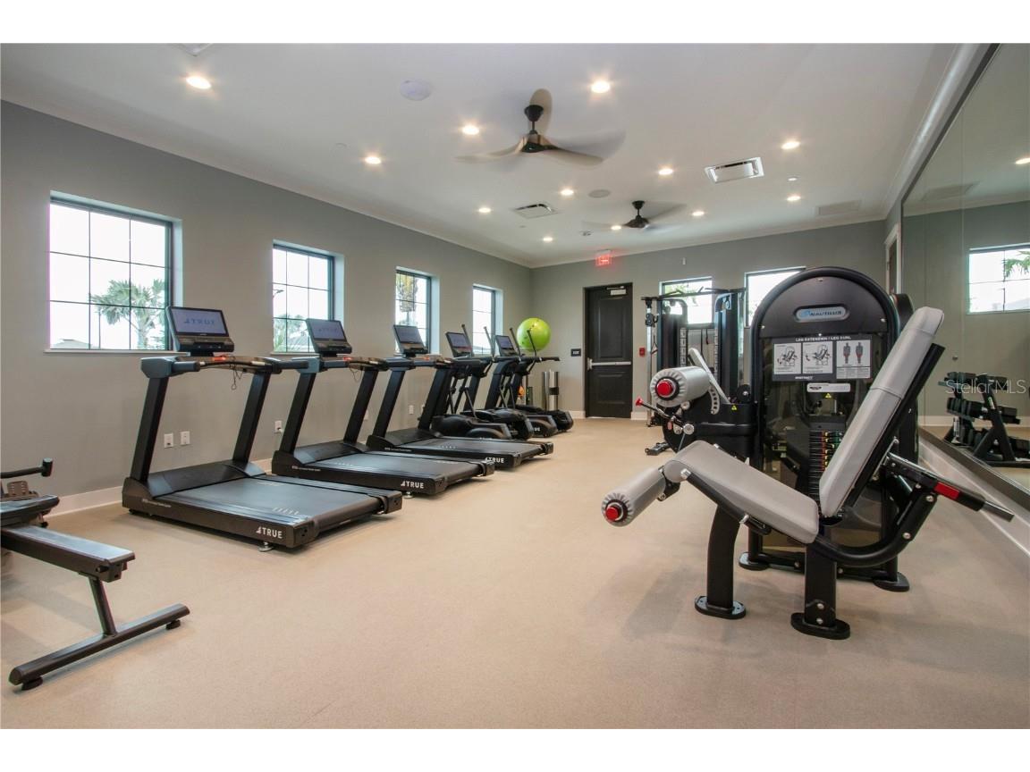 12609 Aura Moonlight Terrace Parrish FL 34219 A4664630 image73