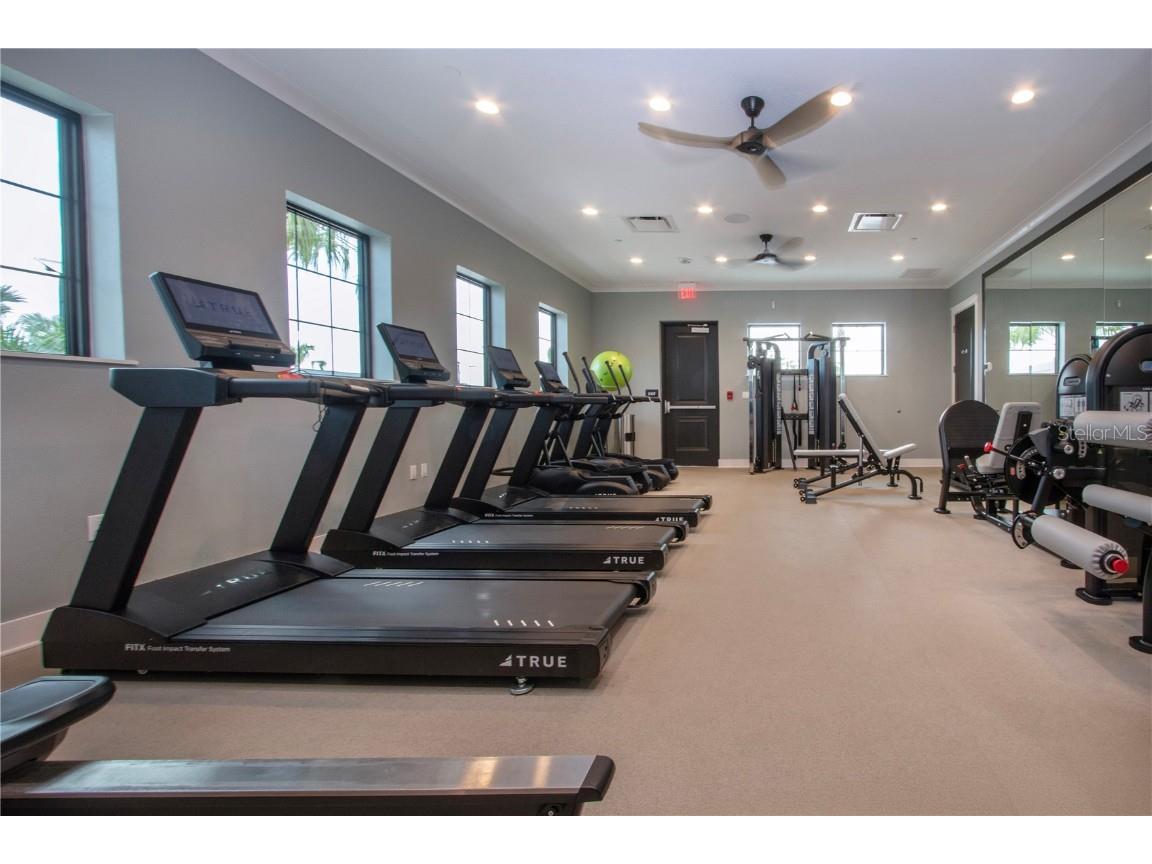 12609 Aura Moonlight Terrace Parrish FL 34219 A4664630 image74