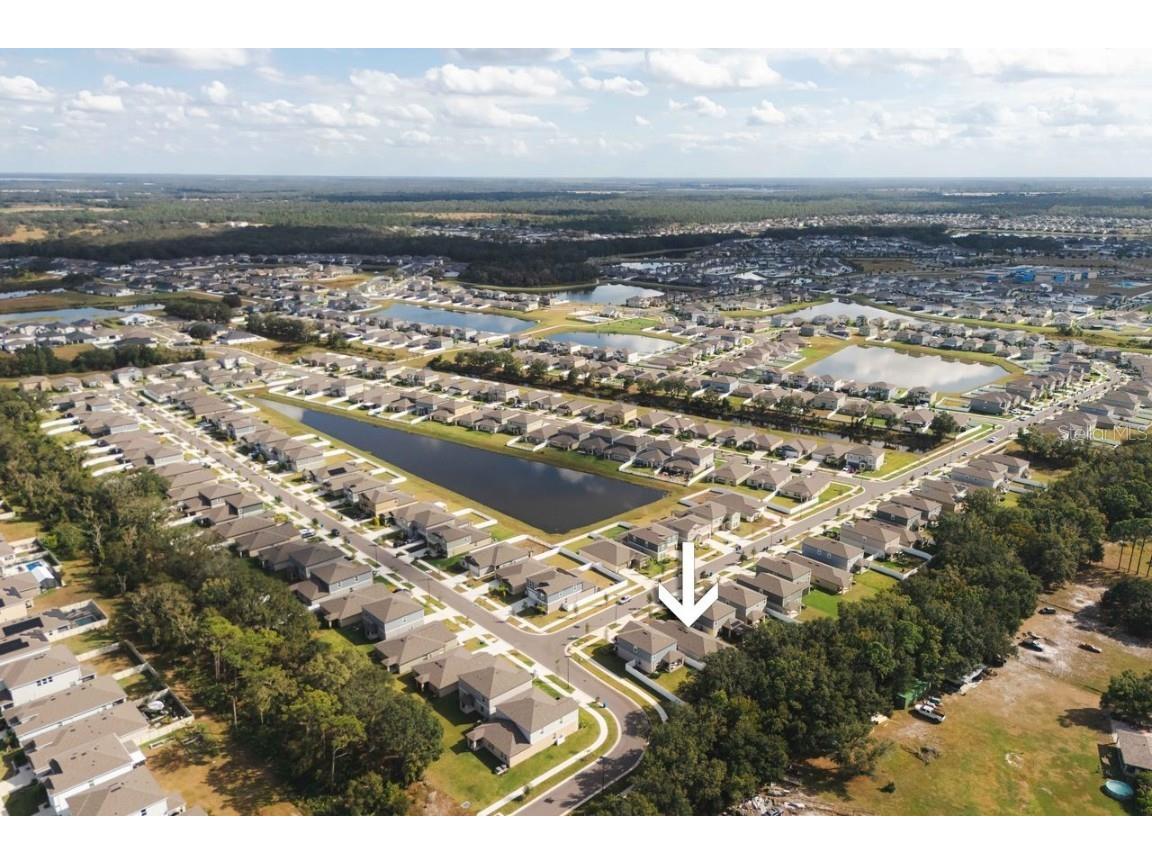 12609 Maple Bonsai Drive Riverview FL 33579 TB8448394 image12