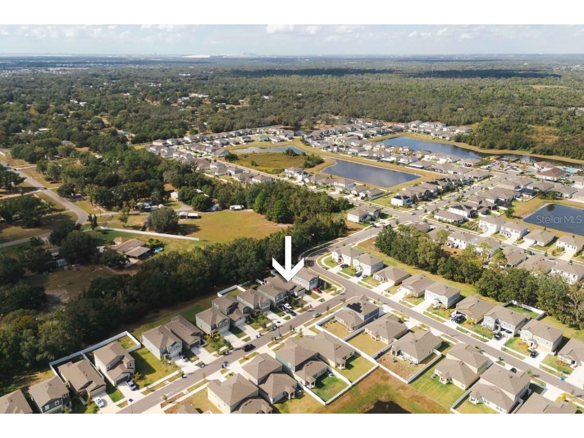 12609 Maple Bonsai Drive Riverview FL 33579 TB8448394 image13