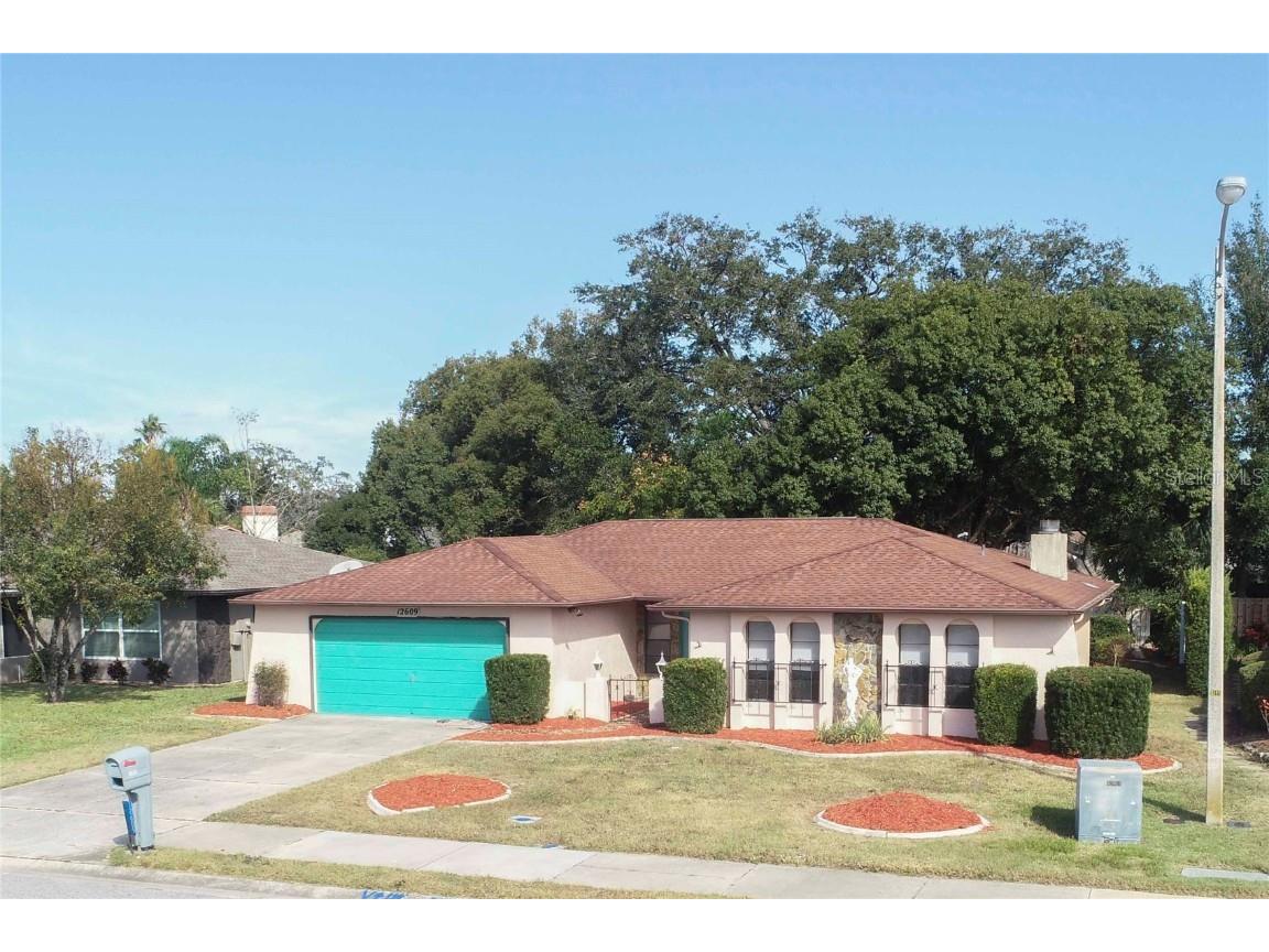 12609 Shadow Ridge Boulevard Hudson FL 34669 TB8327620 image1