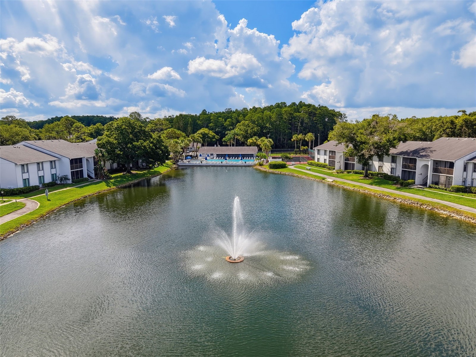 1261 Pine Ridge Circle W #D1 Tarpon Springs FL 34688 TB8526660 image21