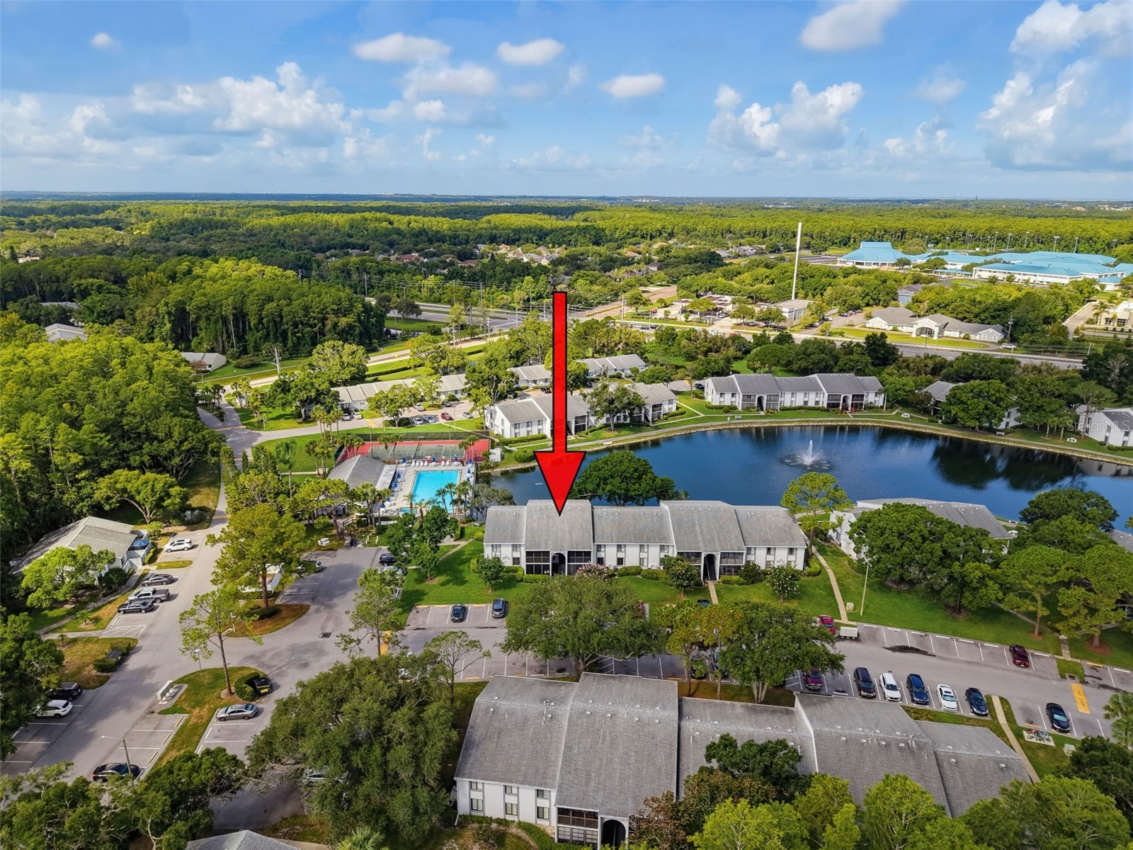 1261 Pine Ridge Circle W #D1 Tarpon Springs FL 34688 TB8526660 image3