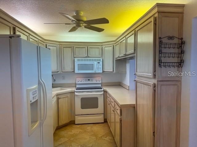 1261 Pine Ridge Circle W #E2 Tarpon Springs FL 34688 TB8447687 image16