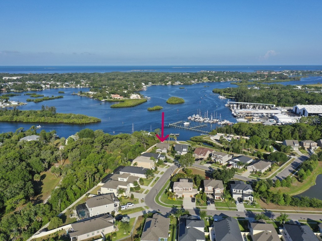 1261 Windy Bay Shoal Tarpon Springs FL 34689 - ANCLOTE RVIER / GULF OF MEXICO W7861118 image1