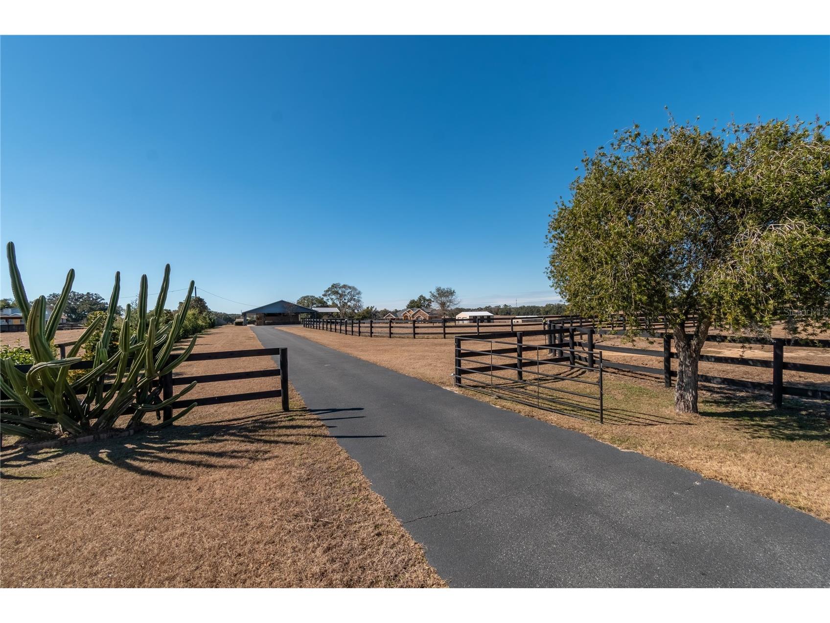 12610 NW Gainesville Road Reddick FL 32686 OM718115 image6