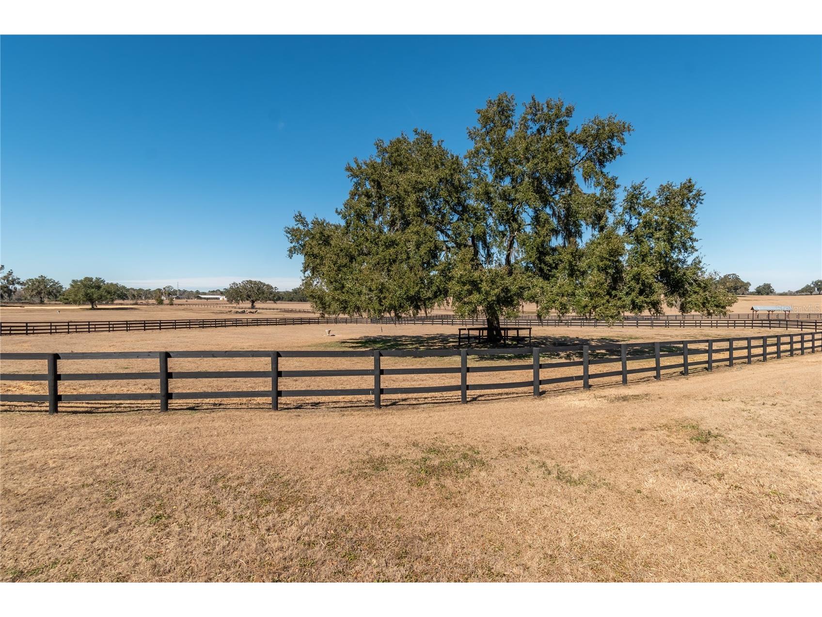 12610 NW Gainesville Road Reddick FL 32686 OM718115 image66