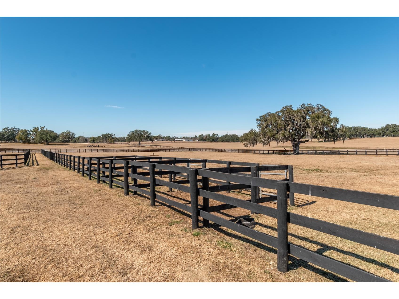 12610 NW Gainesville Road Reddick FL 32686 OM718115 image68