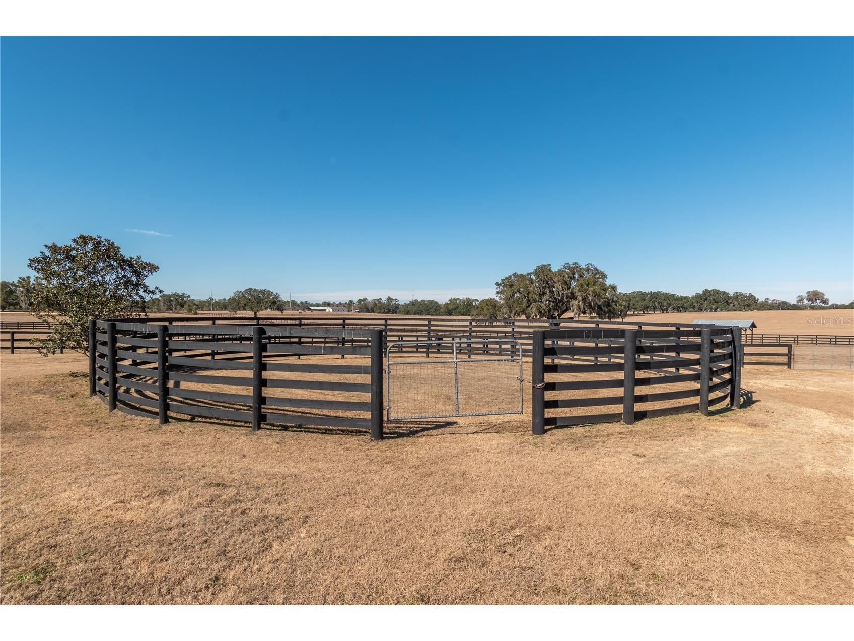 12610 NW Gainesville Road Reddick FL 32686 OM718115 image69
