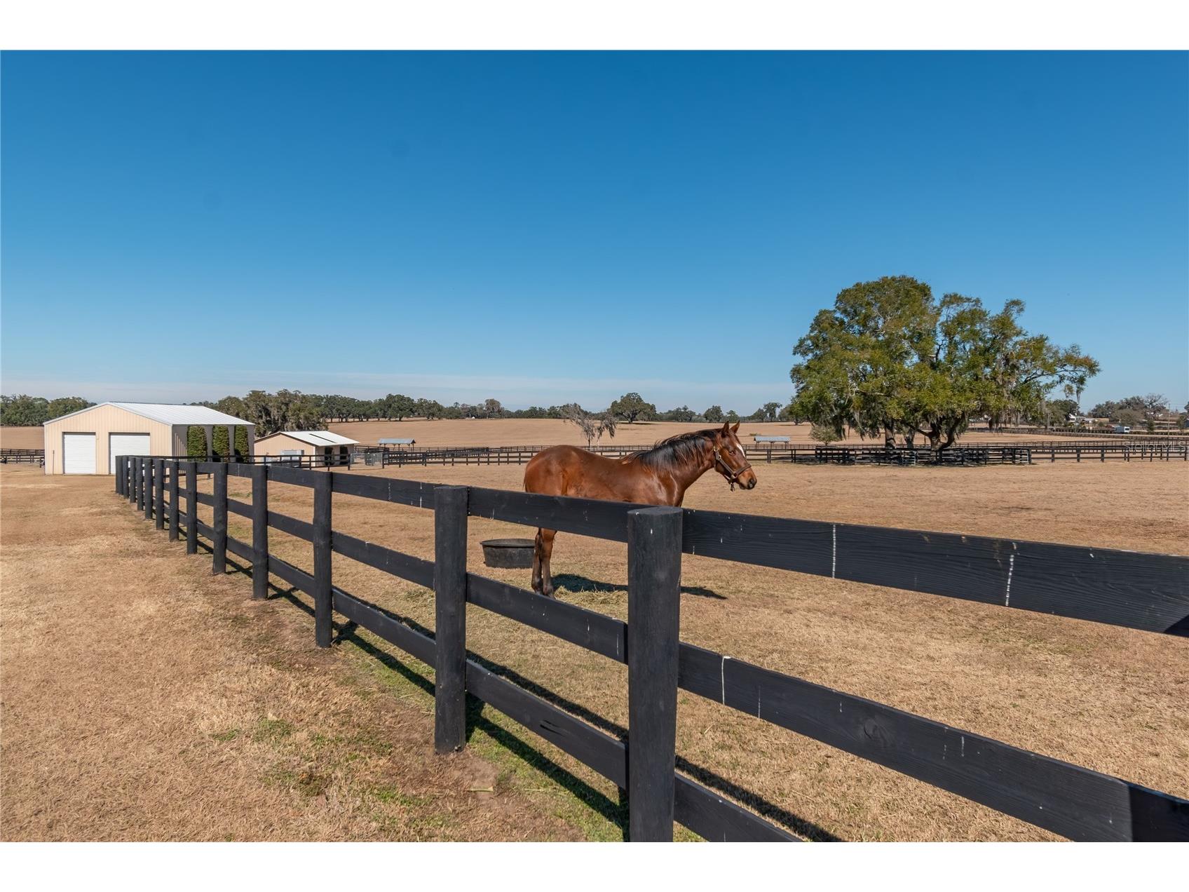 12610 NW Gainesville Road Reddick FL 32686 OM718115 image74