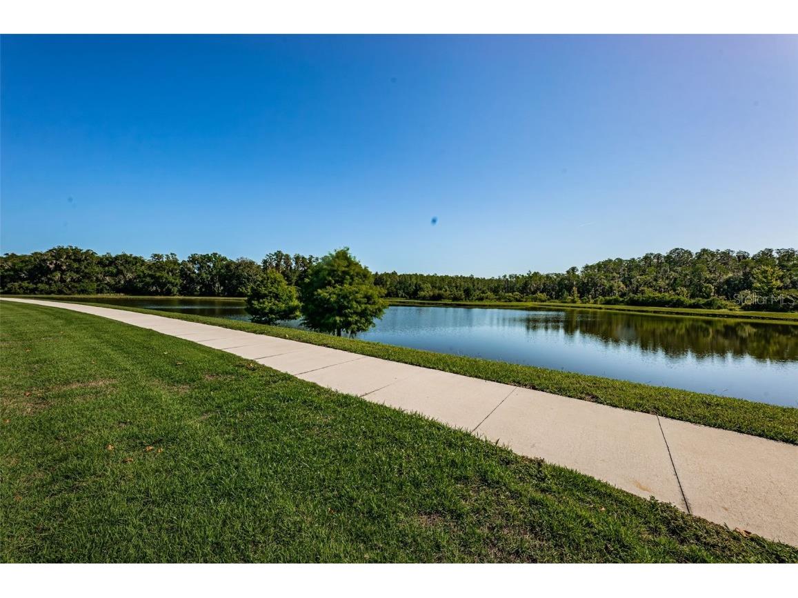 12610 Rangeland Boulevard Odessa FL 33556 U8249173 image41