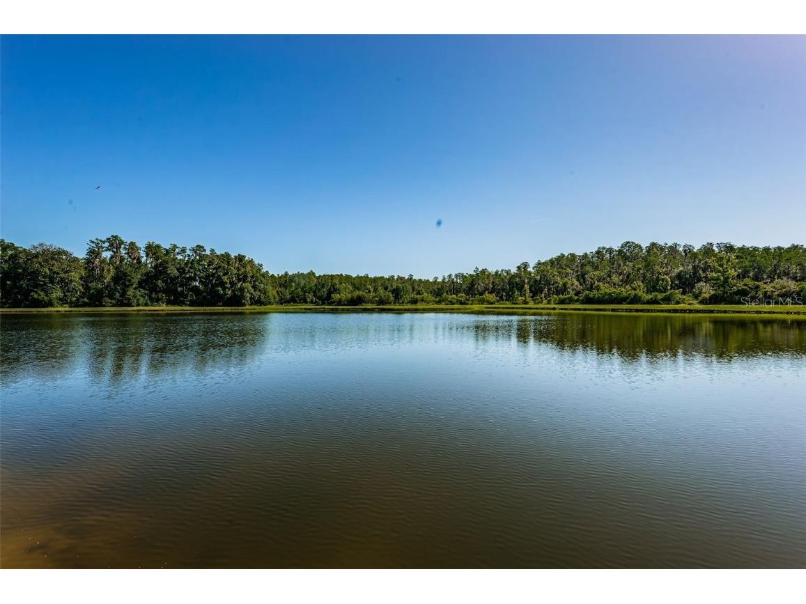 12610 Rangeland Boulevard Odessa FL 33556 U8249173 image42