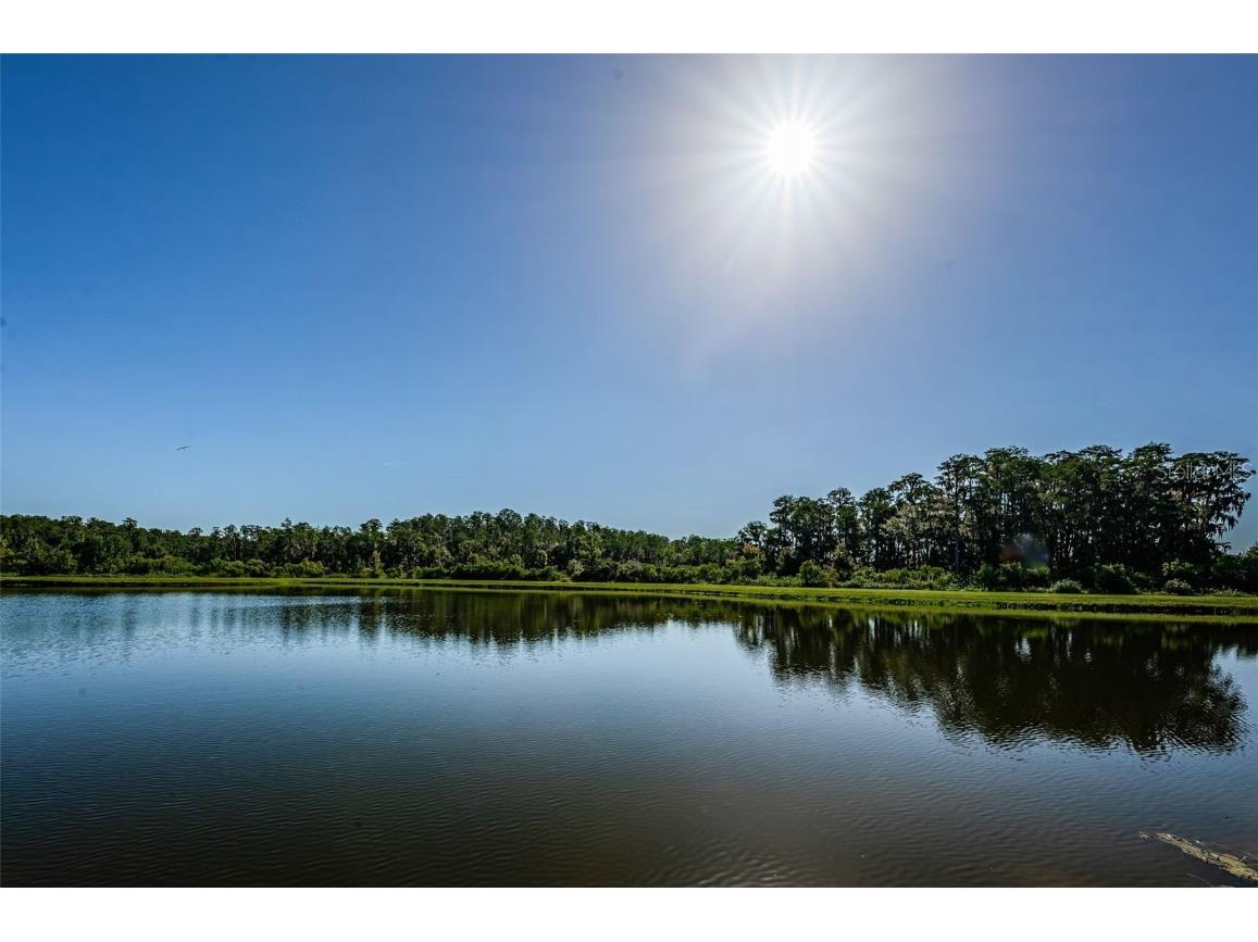12610 Rangeland Boulevard Odessa FL 33556 U8249173 image43
