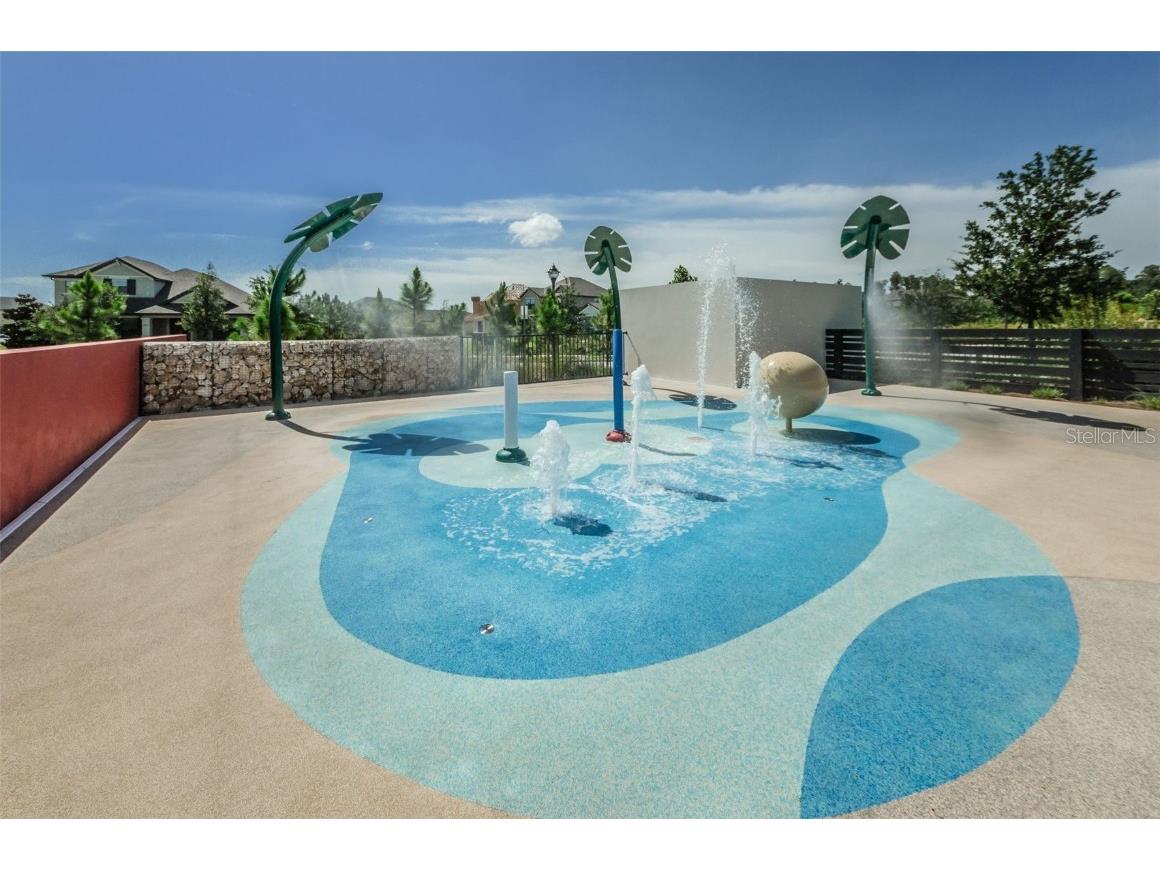12610 Rangeland Boulevard Odessa FL 33556 U8249173 image53