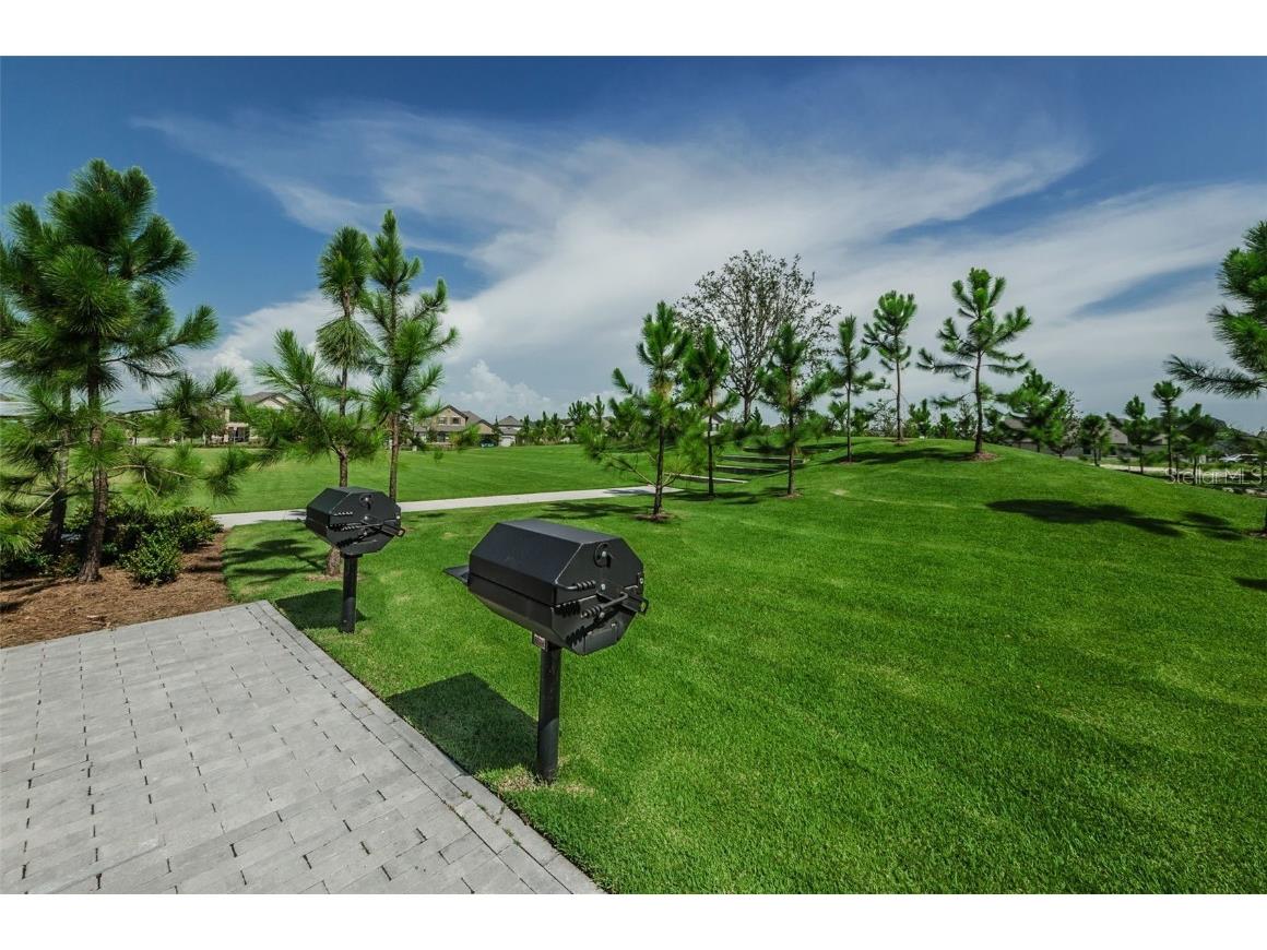12610 Rangeland Boulevard Odessa FL 33556 U8249173 image60