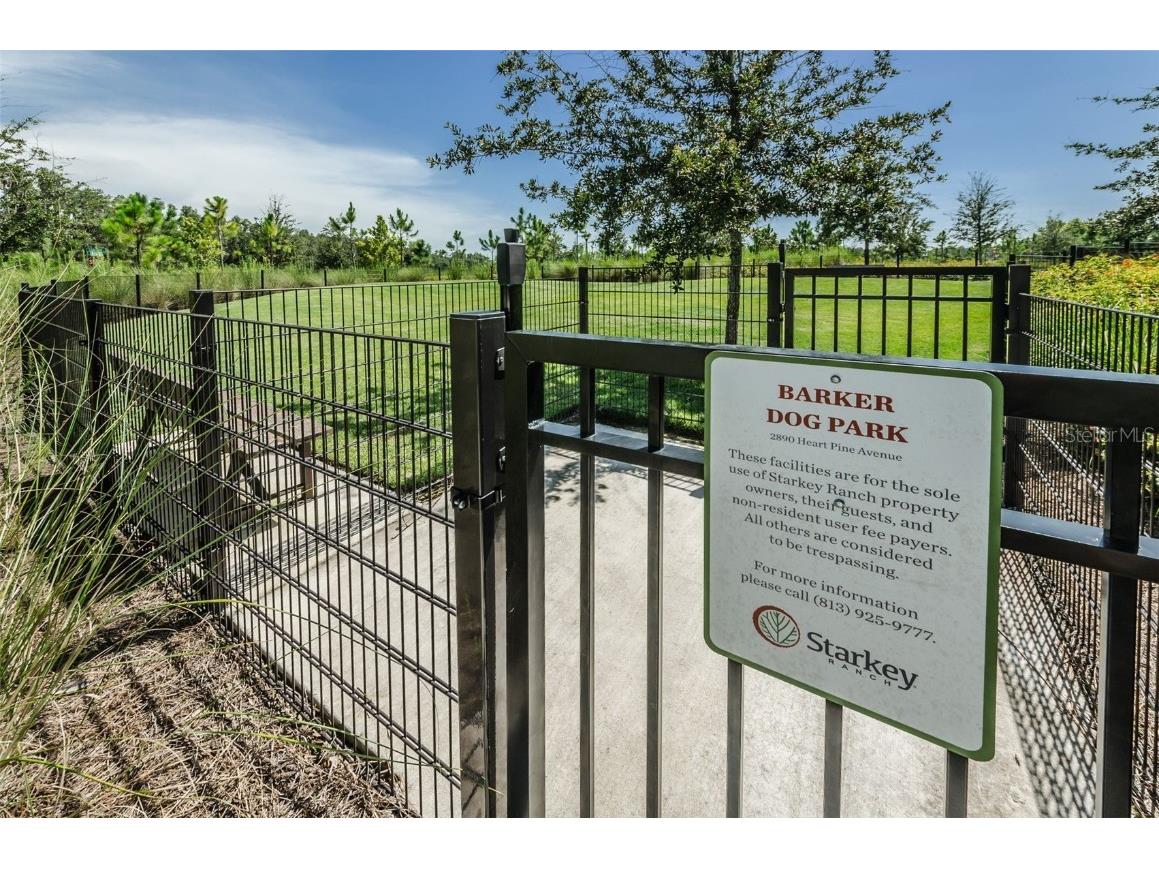 12610 Rangeland Boulevard Odessa FL 33556 U8249173 image61