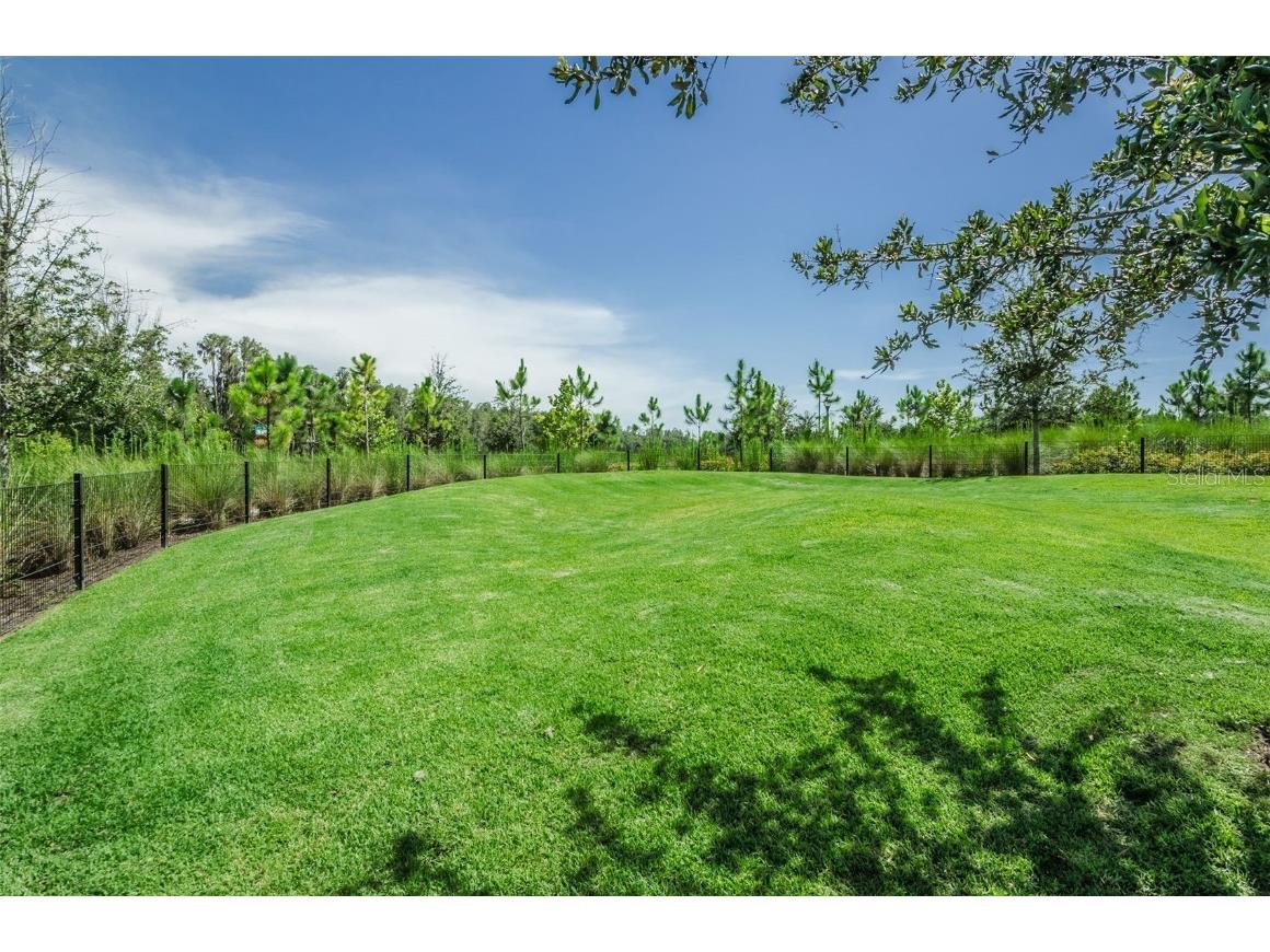 12610 Rangeland Boulevard Odessa FL 33556 U8249173 image62