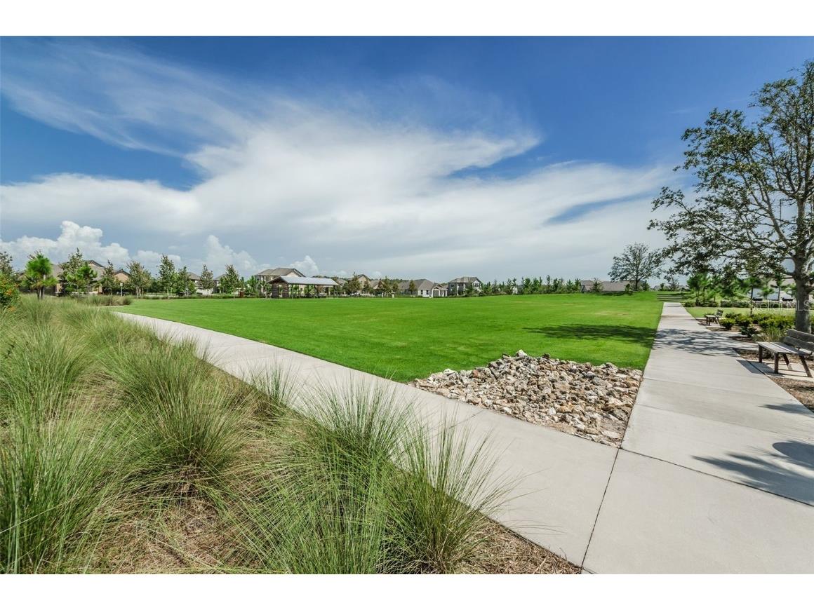 12610 Rangeland Boulevard Odessa FL 33556 U8249173 image64