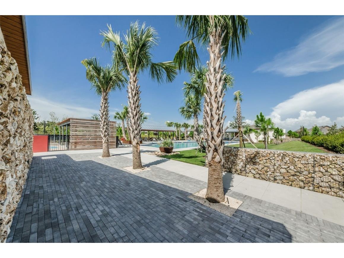 12610 Rangeland Boulevard Odessa FL 33556 U8249173 image66